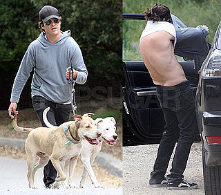 Pictures of Joaquin Phoenix As Casey Affleck Screens Documentary I'm Still Here: The Lost Year of Joaquin Phoenix