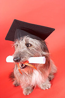 Advice For Recent College Grads