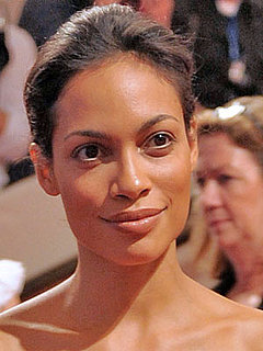 Rosario Dawson at 2010 Costume Institute Gala