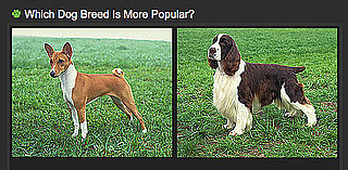 Do You Know Which Breed Is More Popular? 2010-07-09 04:00:12