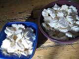 Meringues!
