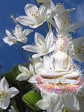 White Buddha