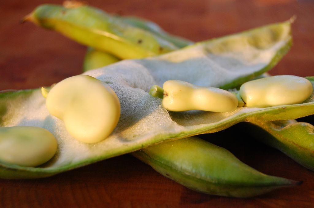 How to Cook Fava Beans How to Cook Fava Beans