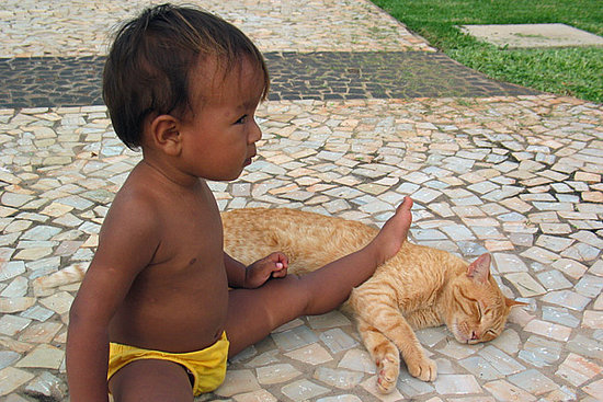 Pictures of Kids and Cats Pictures of Kids and Cats