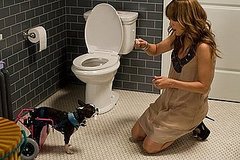 Embarrassing Moments With Pets 2010-05-17 12:00:58