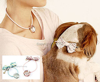 Tondo For Dog