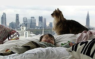 Adopting a Pet Before Having a Baby