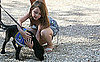 How to Approach a Guide Dog