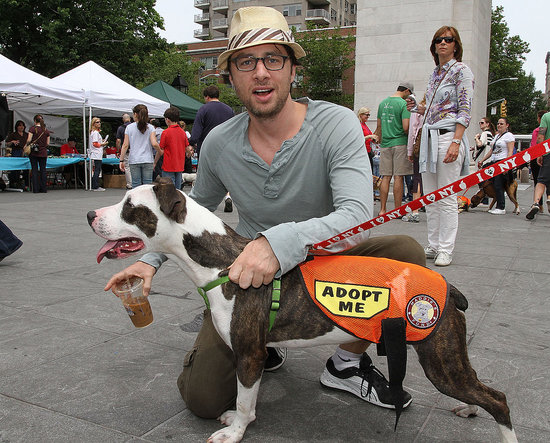 Adoptapalooza Pet Adoption 