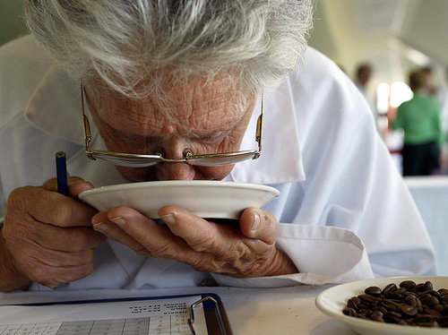 At the roasting plant, coffee is tasted for quality assurance. At the roasting plant, coffee is tasted for quality assurance.