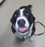 Kiss the Camera