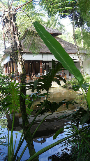 Breakfast at Bali's Kemiri