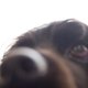 sethgoddard