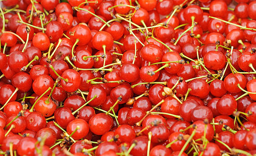 What Is a Sour Cherry?