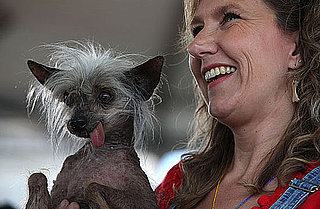 World's Ugliest Dog Died