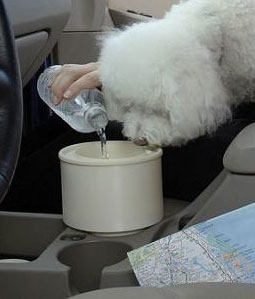 Travel Water Bowls For Dogs