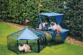 Kittywalk Ferris Wheel and Carousel