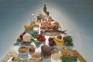 USDA Proposes New Dietary Guidelines For 2010