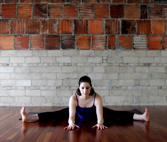 Seated Straddle Seated Straddle