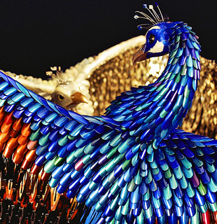 Laurel Roth Peacocks Exhibition Pictures