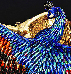 Laurel Roth Peacocks Exhibition Pictures