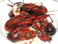 Have You Ever Eaten Crawfish?