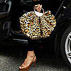 Celebrity Handbag Quiz