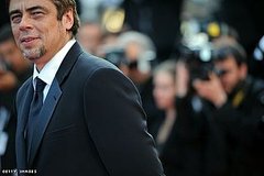 Summer of Benicio 