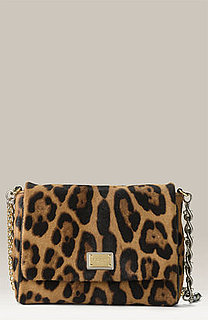Dolce & Gabbana Leopard Bag