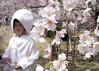 Why Can't Japanese Women Keep Their Maiden Names?