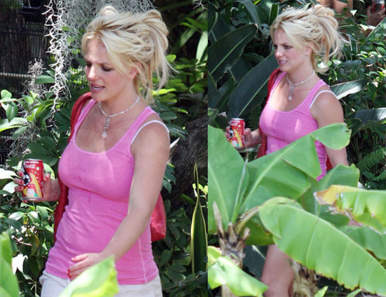 Pictures of Britney Spears Pictures of Britney Spears