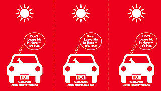 What Should I Do If I See a Dog in a Parked Car?