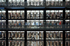 The Library's Popularity on Rise