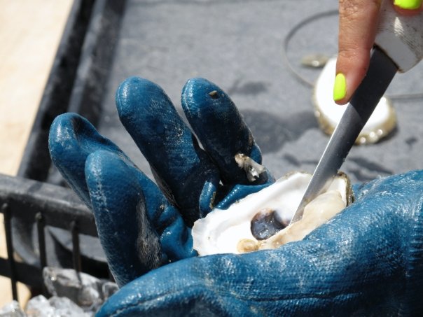 Do You Eat Oysters Year-Round? Do You Eat Oysters Year-Round?