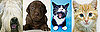 Pet Noses