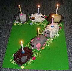 Birthday Cakes  York on Seventh Birthday Party Cake Ideas Inspiration Jpg