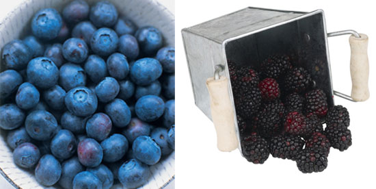 Do You Prefer Blueberries or Blackberries? Do You Prefer Blueberries or Blackberries?