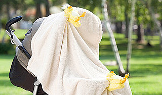 Clips to Keep Strollers Covered