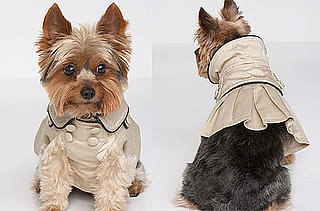 Juicy Pet Clothing