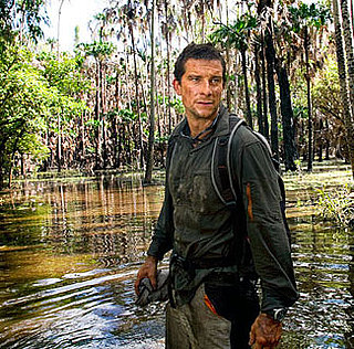 Man vs. Wild Video Game