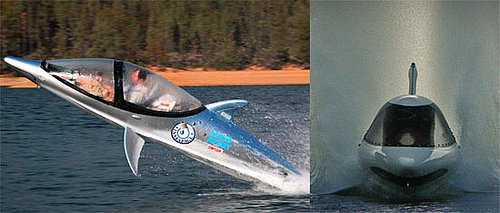 Seabreacher Personal Submarine