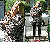 Sonia Rykiel Faux Fur Leopard Print Coat