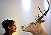 Picture From Edible Art Exhibit