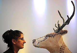 Picture From Edible Art Exhibit