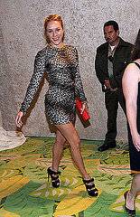 Chloe Sevigny(2010 Emmy Party)