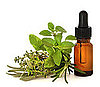 Herbal Supplements to Aid Focusing