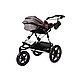 Mountain Buggy Terrain With Car Seat