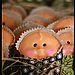 Gourmet Cabbage Patch Baby Chocolate Sucker Lollipop