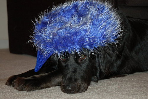 Sydney with her hat on