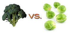 Comparing Brussels Sprouts and Broccoli Comparing Brussels Sprouts and Broccoli